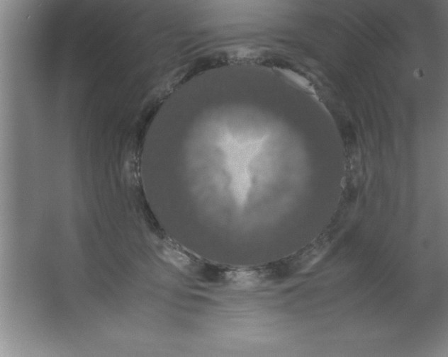 X0000067360419200604212033