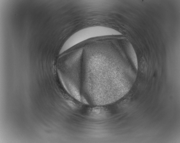 X0000067360420200604212033