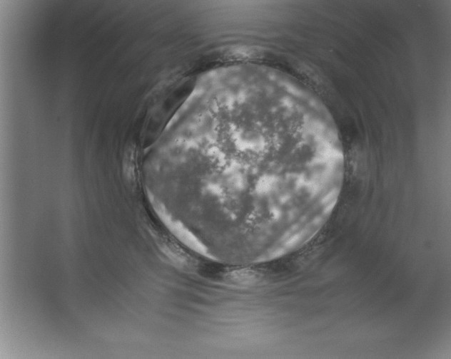 X0000067360423200604212032