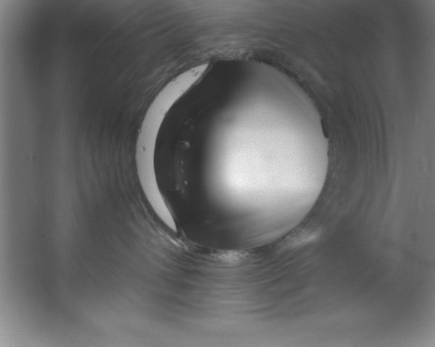 X0000067360432200604212032