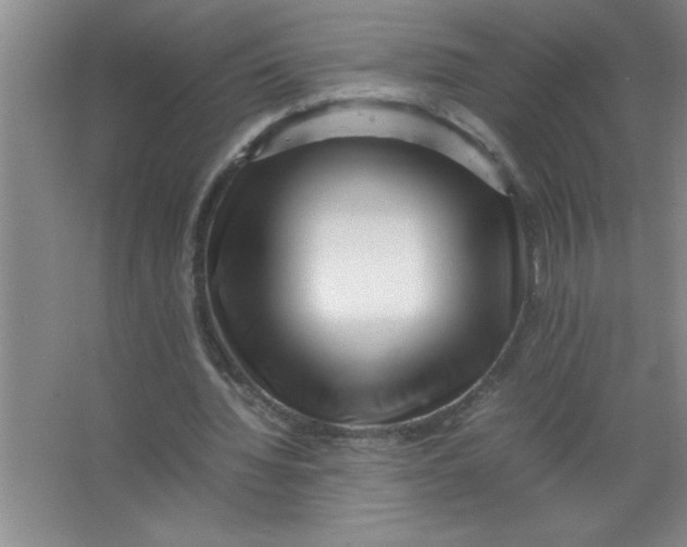 X0000067360436200604212032
