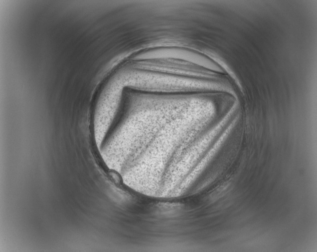 X0000067360437200604212032