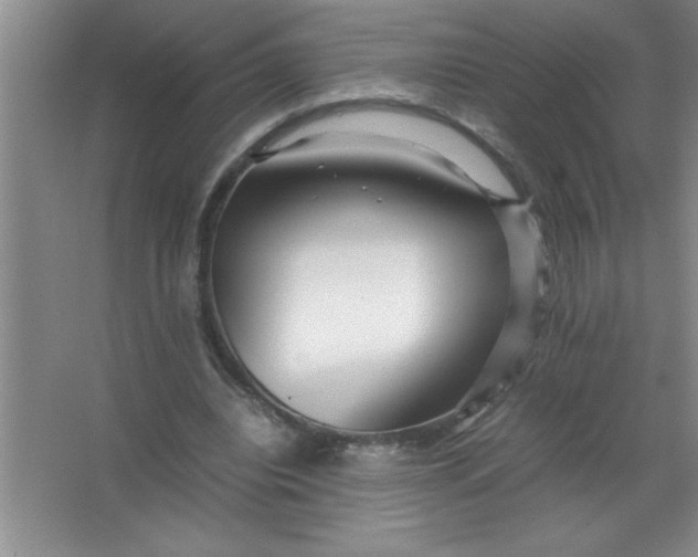 X0000067360440200604212032