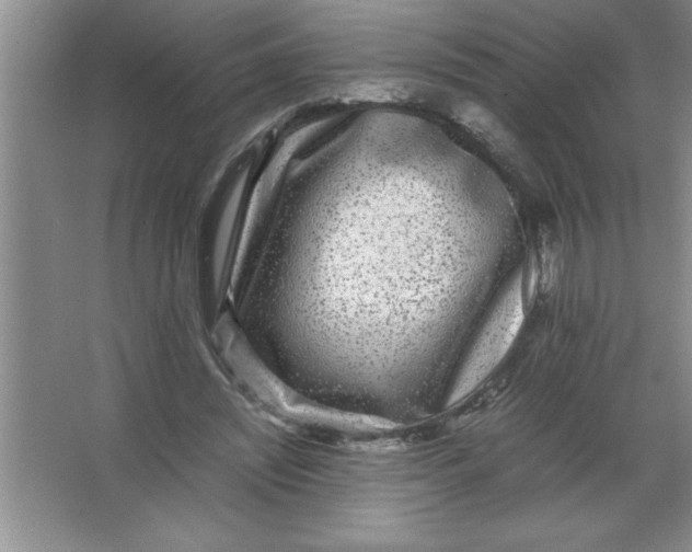 X0000067360444200604212032