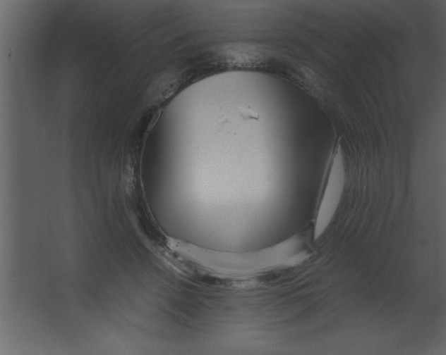 X0000067360456200604212032
