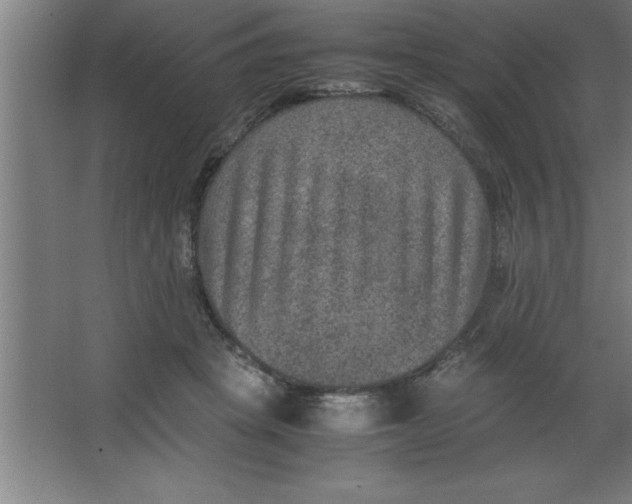 X0000067360457200604212032