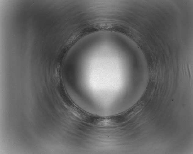 X0000067360460200604212032