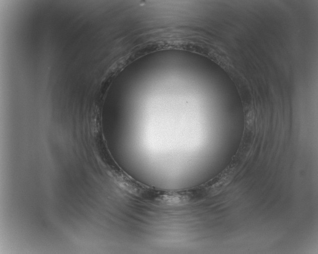 X0000067360464200604212032