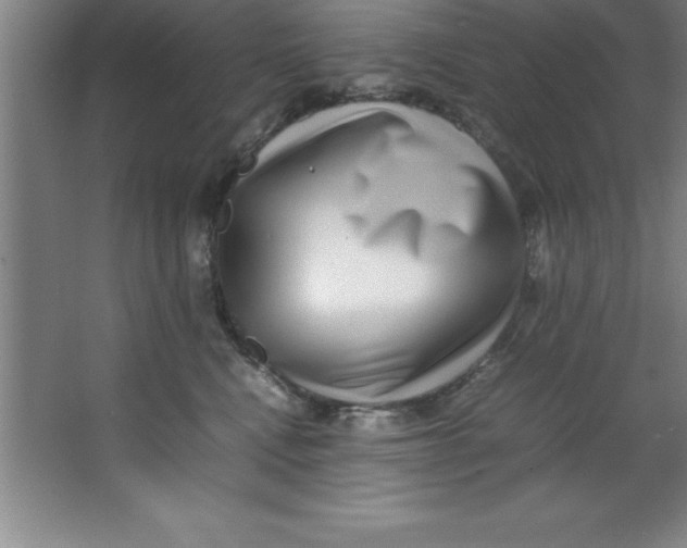 X0000067360472200604212032