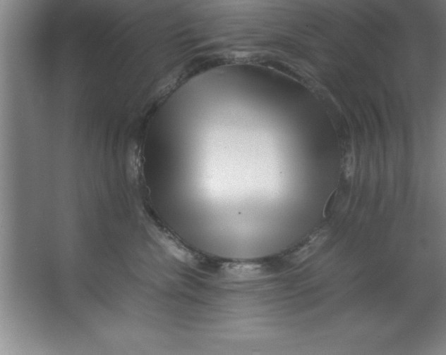 X0000067360476200604212032
