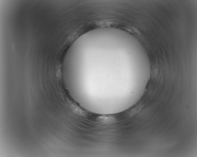 X0000067360477200604212032