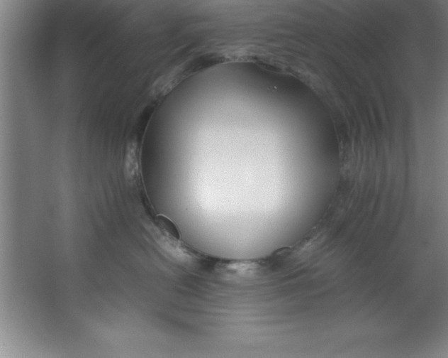 X0000067360478200604212032