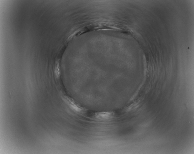 X0000067360479200604212032