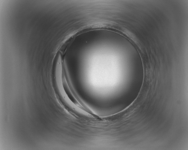 X0000067360485200604212031