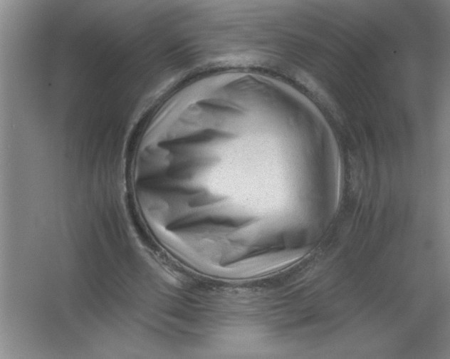 X0000067360486200604212031