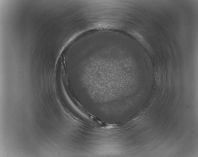 X0000067360488200604212031
