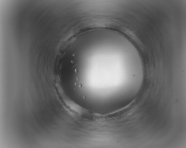 X0000067360489200604212031