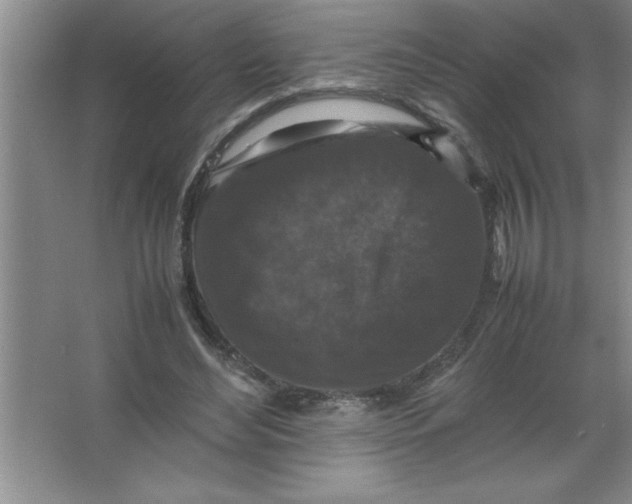 X0000067360492200604212031