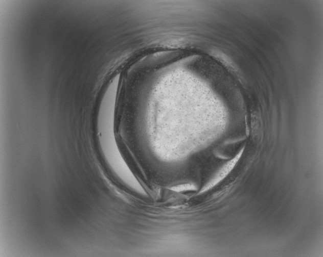 X0000067360493200604212031