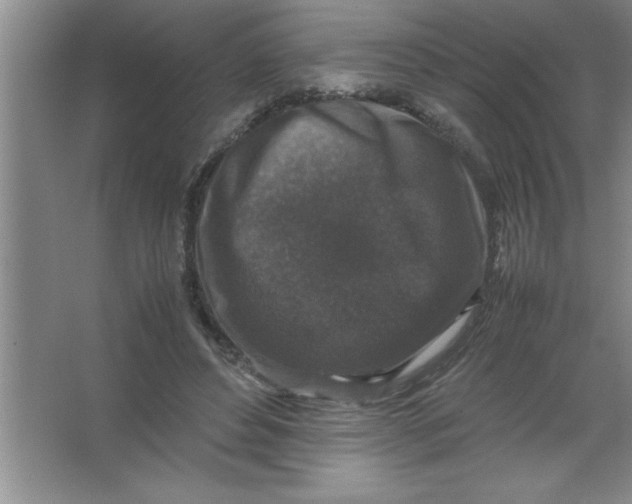 X0000067360496200604212031