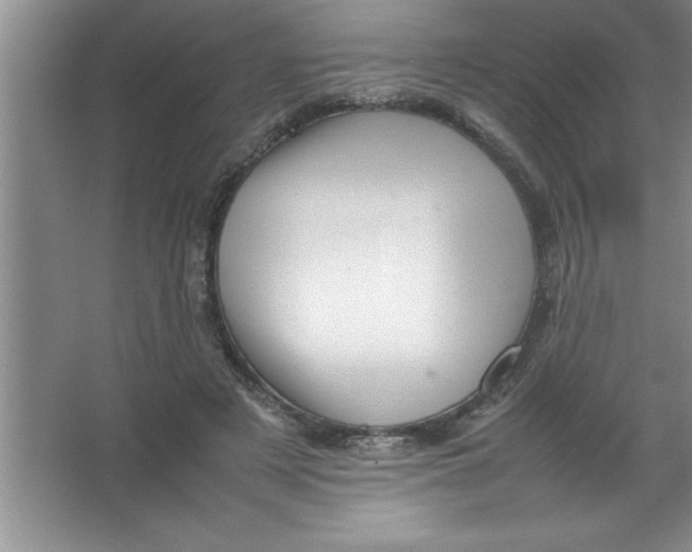 X0000067360497200604212031