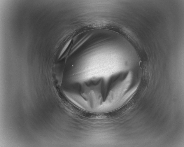 X0000067360501200604212031