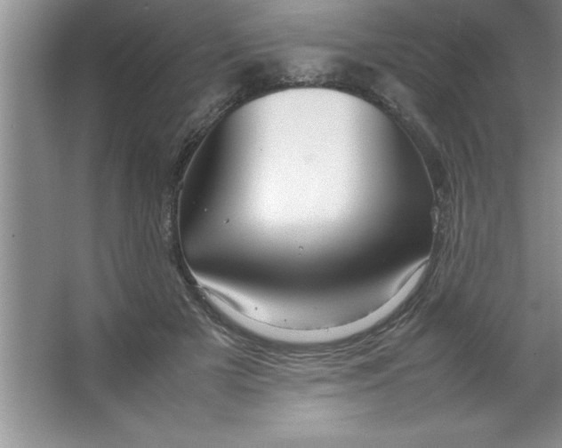 X0000067360505200604212031