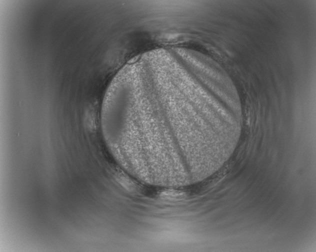 X0000067360515200604212031