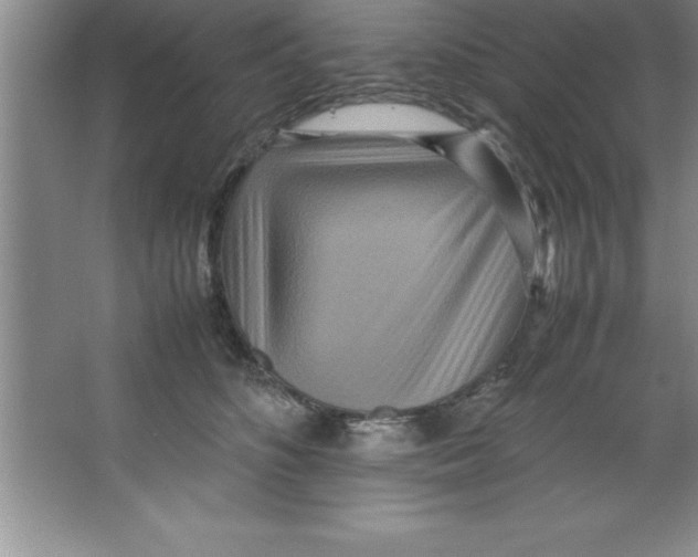 X0000067360516200604212031