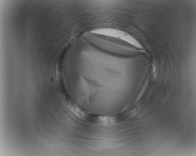 X0000067360520200604212031
