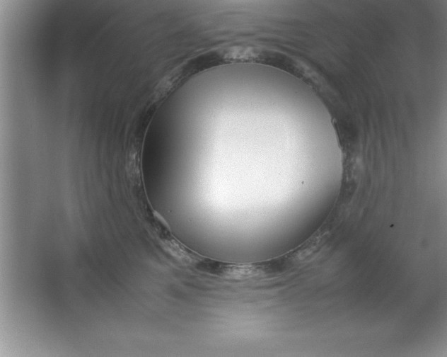 X0000067360521200604212031