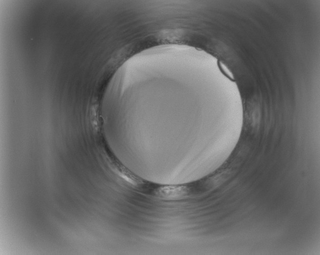 X0000067360526200604212031
