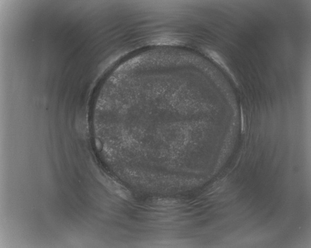 X0000067360531200604212030