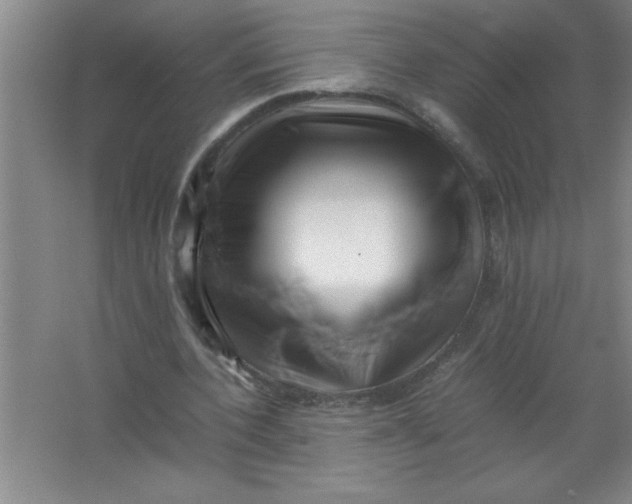 X0000067360532200604212030