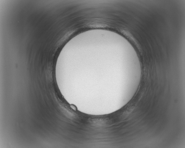 X0000067360533200604212030