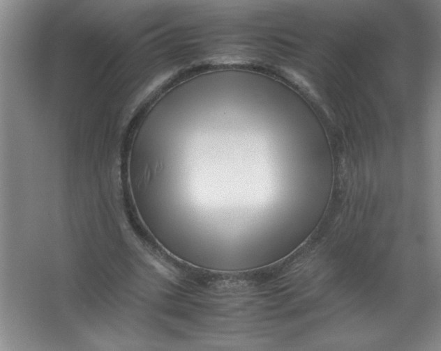 X0000067360535200604212030
