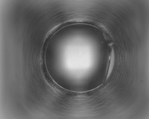 X0000067360536200604212030