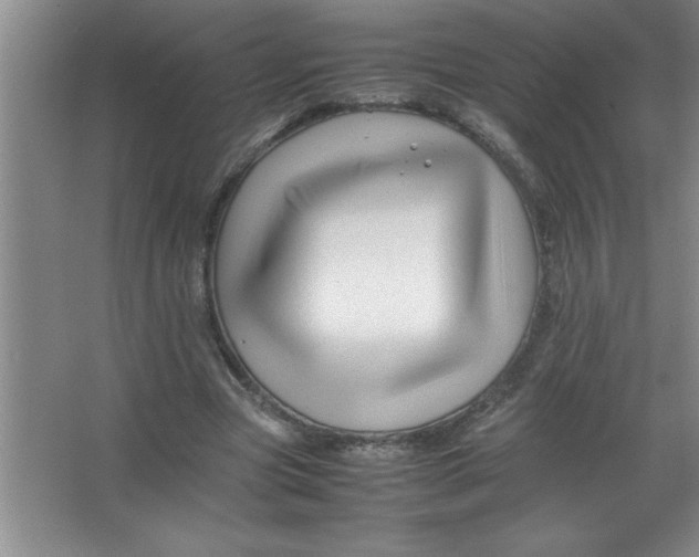 X0000067360537200604212030