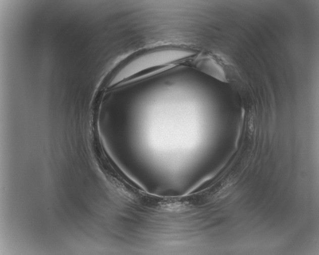 X0000067360540200604212030