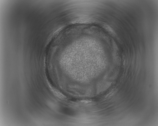 X0000067360542200604212030
