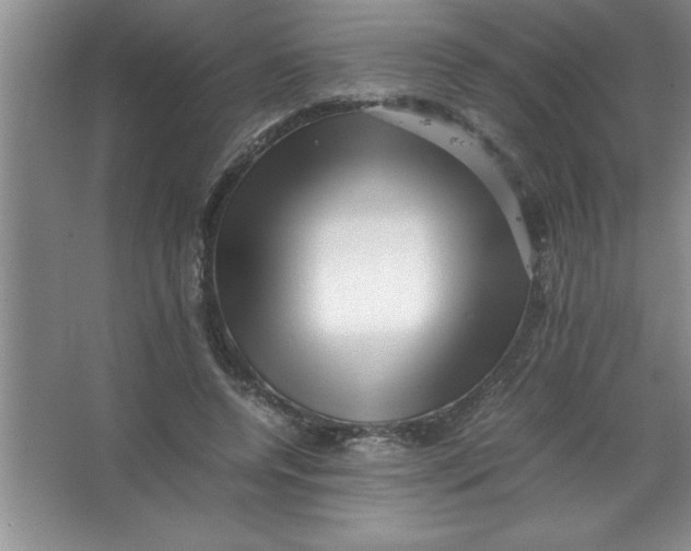 X0000067360544200604212030