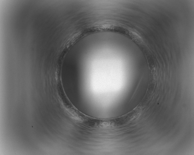 X0000067360546200604212030