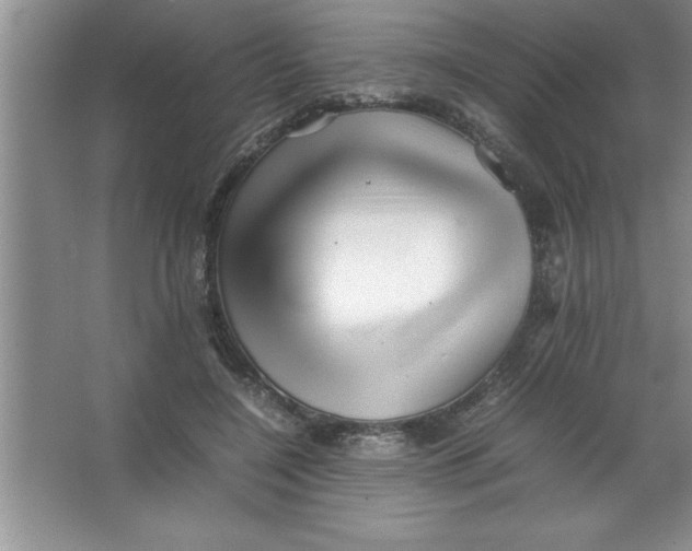 X0000067360548200604212030