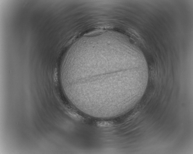 X0000067360549200604212030