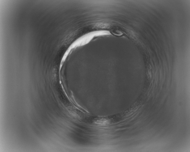 X0000067360551200604212030