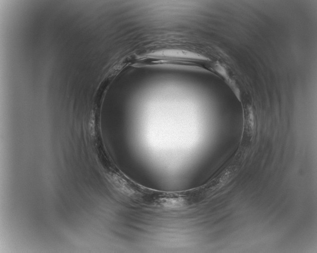 X0000067360552200604212030