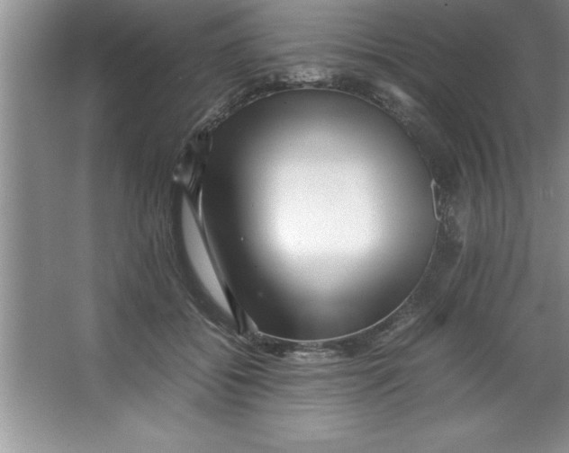 X0000067360556200604212030