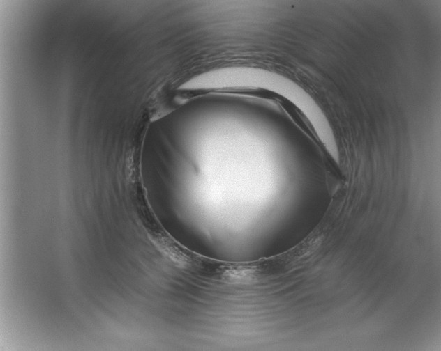 X0000067360560200604212030