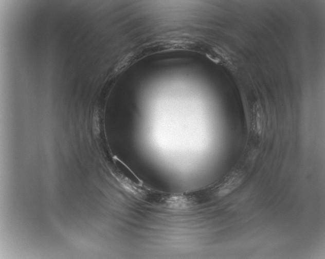 X0000067360562200604212030