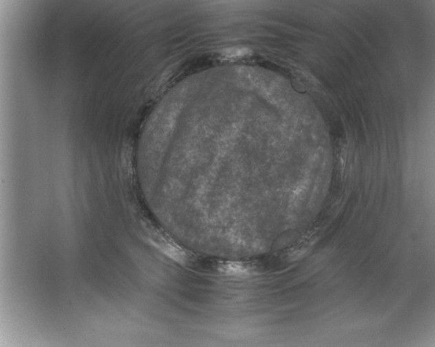 X0000067360565200604212031